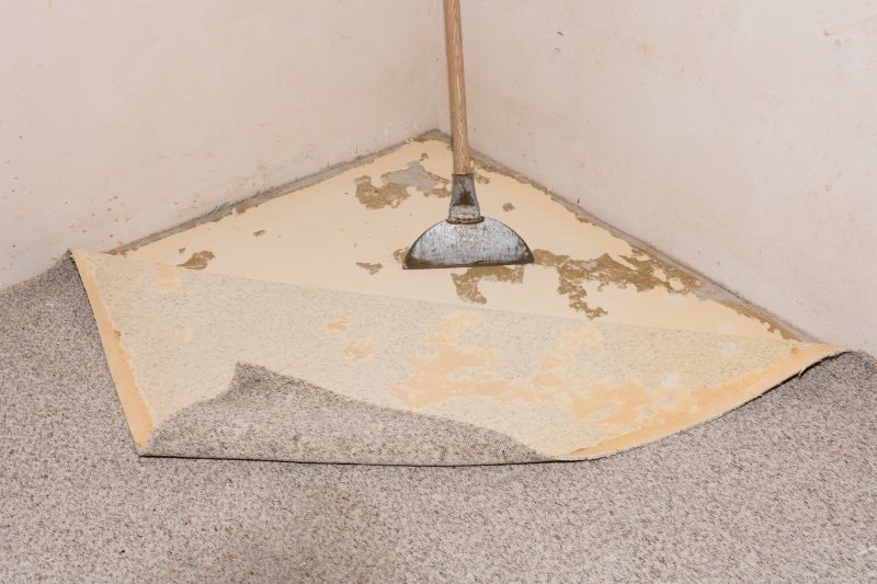 Get Subfloor Removal