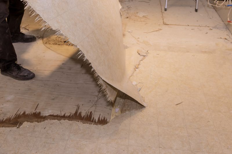 Get Subfloor Removal